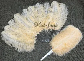 A pair Apricot Single layer Feather fan 24"x 41"