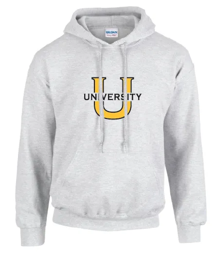 University Hoodie Sweatshirt in Ash Grey